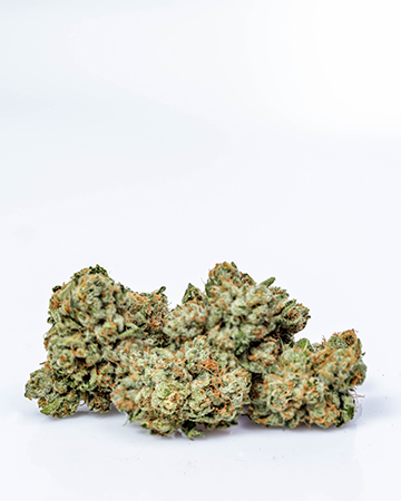 Buy AK Auto Seeds