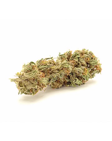 Buy American Haze