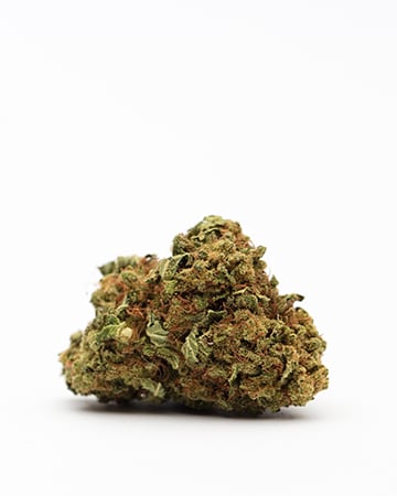 Buy Blueberry Auto
