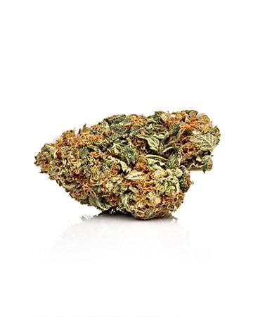 Buy Critical Purple Auto