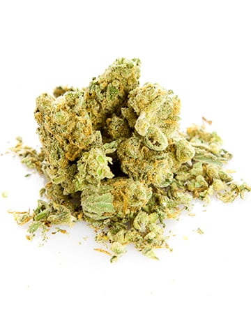 Buy Northern Lights Autoflower