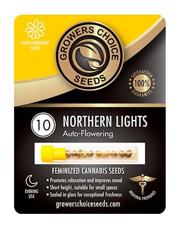Buy Best Beginner Combo Pack of Grower Choice Seeds