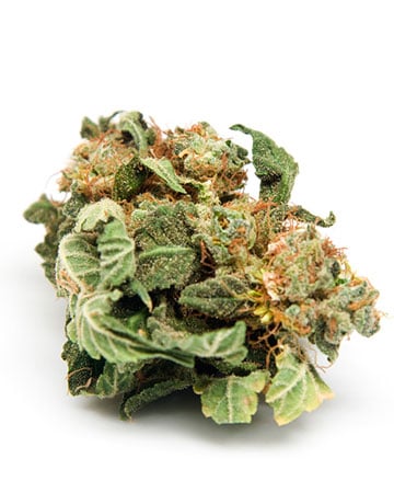 Buy Afghan Auto