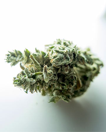 Buy Jack Herer