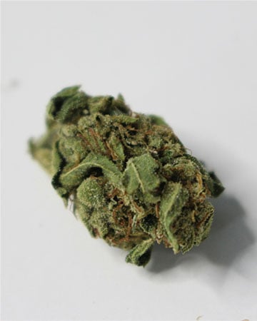 Buy OG Kush