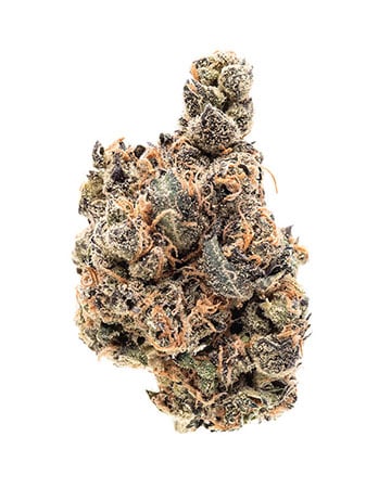 Buy CBD Moby Dick