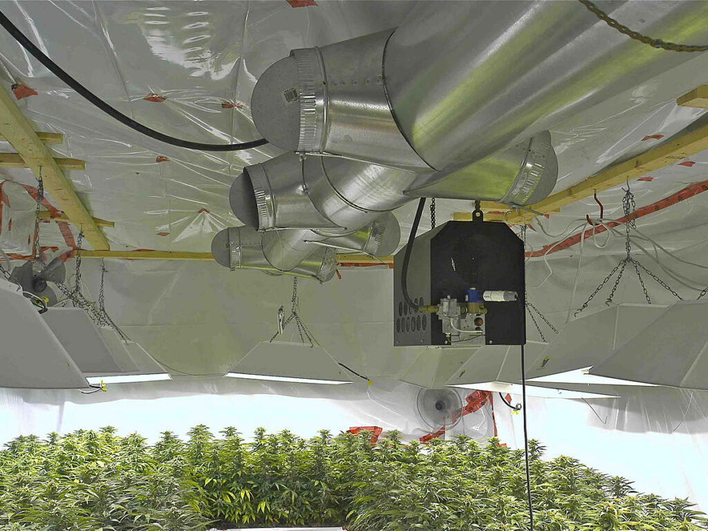 get grow room and cannabis seeds tips