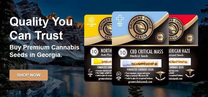 Buy cannabis seeds in Georgia