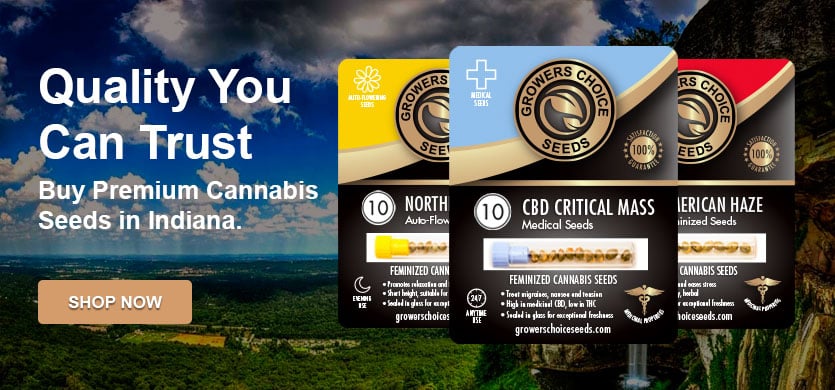 Buy Cannabis Seeds in Indiana
