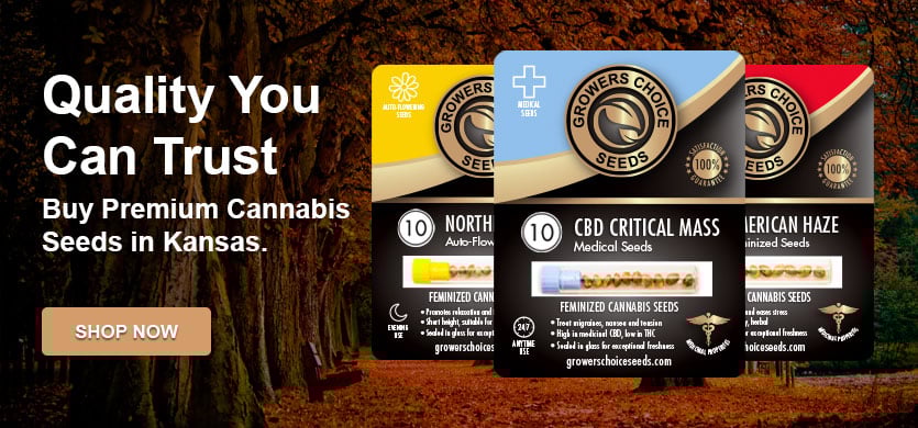 Buy cannabis seeds in Kansas
