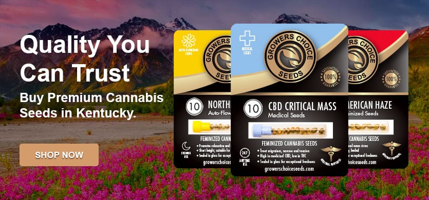 buy cannabis seeds in kentucky