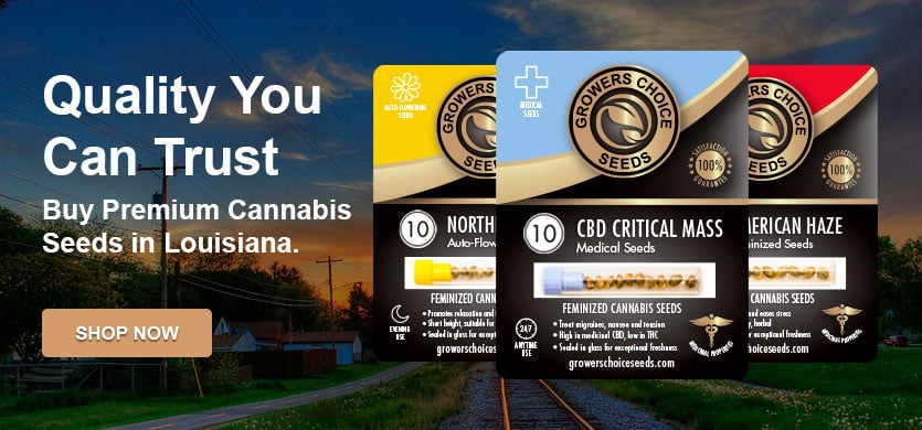 buy cannabis seeds in louisianna