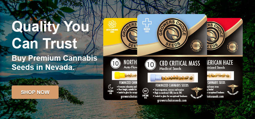 buy cannabis seeds in Nevada