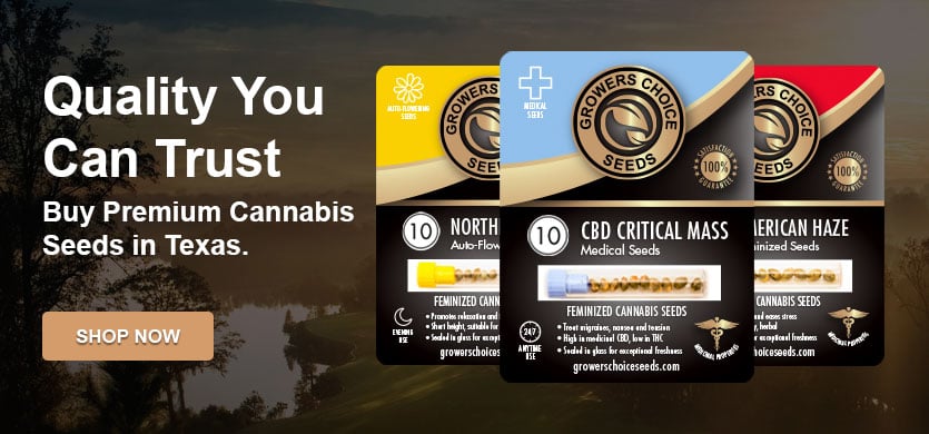 buy cannabis seeds in texas