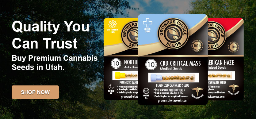 buy cannabis seeds in Utah