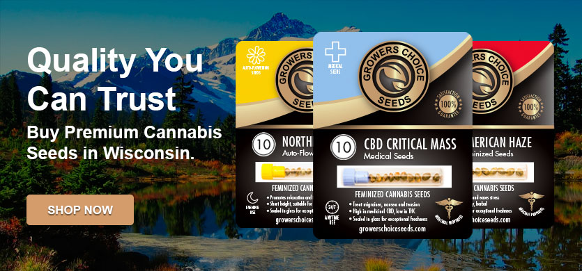 buy cannabis seeds in wisconsin
