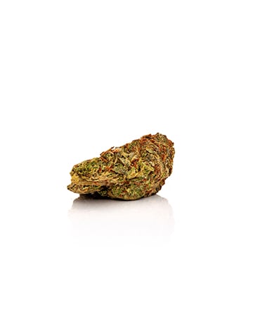 Buy Gorilla Glue (GG1) Auto