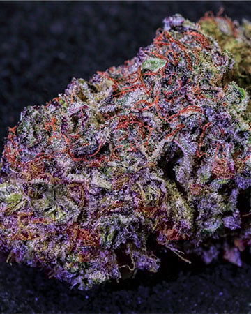 Buy Purple Kush