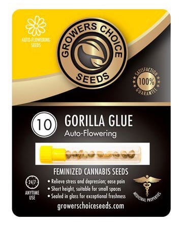 Buy Best Beginner Combo Pack of Grower Choice Seeds