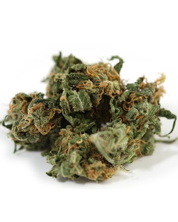 Buy Candy Kush Auto