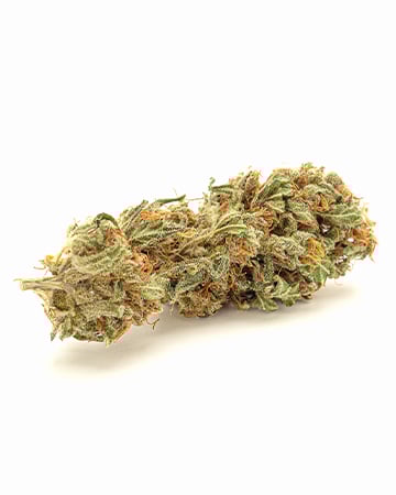 Buy Durban Poison