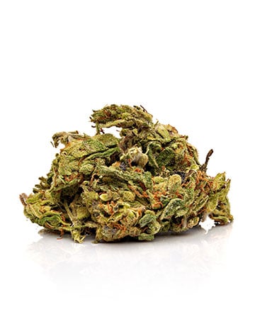 Buy Skunk Kush