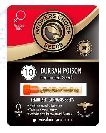 Buy USA Premium Combo