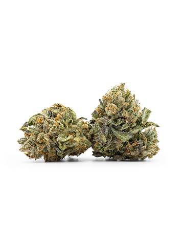 Buy Haze XL Auto