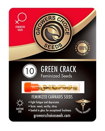Buy Best Beginner Combo Pack of Grower Choice Seeds