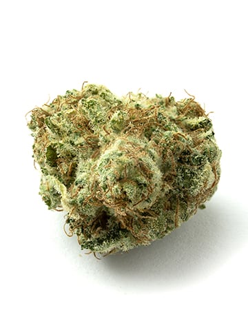 Buy Critical Kush