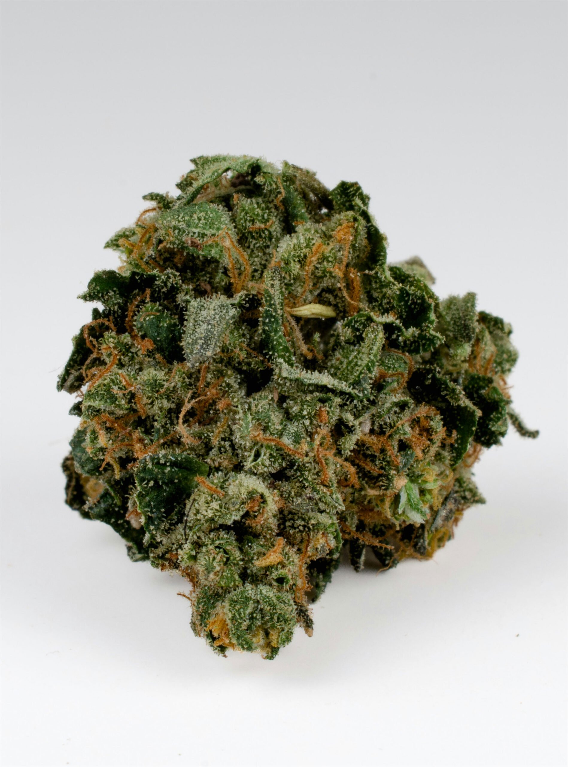 Buy Mexican Haze