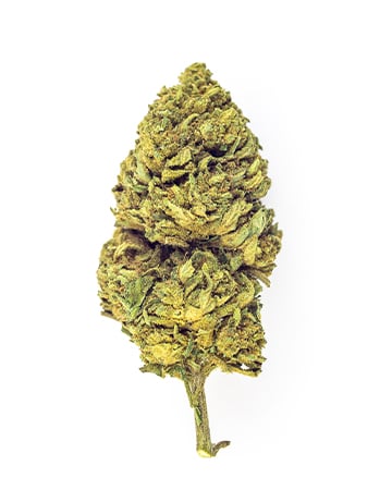 Buy Pineapple Auto