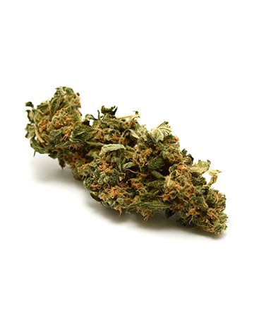 Buy Skunk Auto