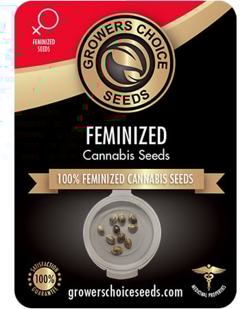 Buy Acapulco Gold Seeds