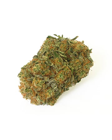 Buy Acapulco Gold Seeds