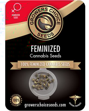 Buy Strawberry Cough