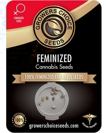 Buy Sour Diesel Seeds