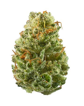 Buy Strawberry Cough