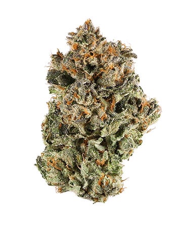 Buy Sunset Sherbet