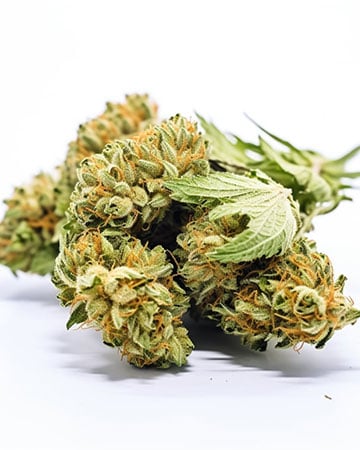 Buy Zkittlez
