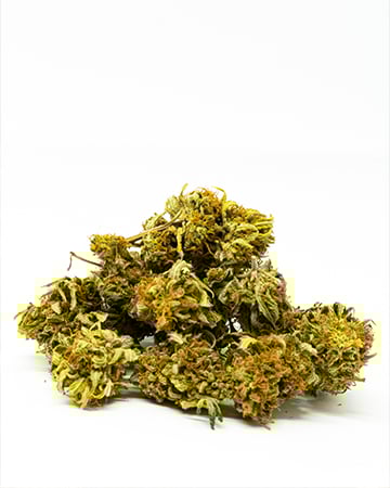 Buy Blue Dream seeds