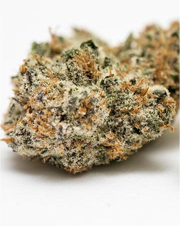 Buy Panama Red