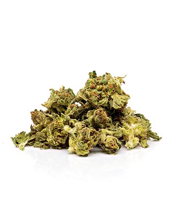 Buy Dutch Treat