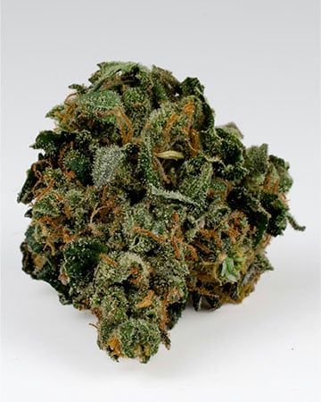 Buy Granddaddy Purple Seeds