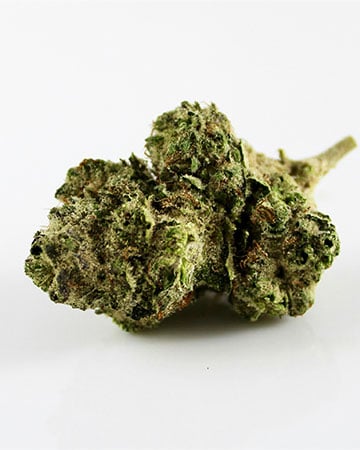 Buy Presidential OG