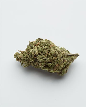 Buy Skunk Seeds Feminized