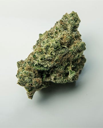 Buy Jilly bean Seeds