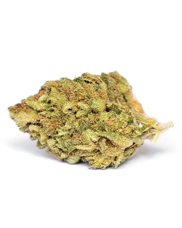 Buy $100 OG Seeds