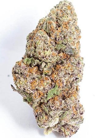 Buy White Rhino