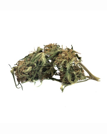Buy Blackberry Kush